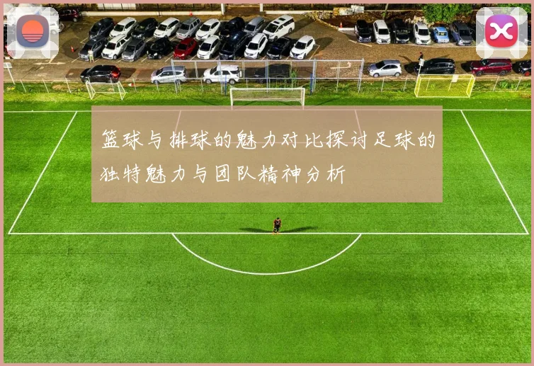 篮球与排球的魅力对比探讨足球的独特魅力与团队精神分析