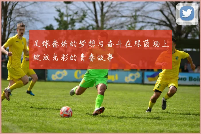 足球春娇的梦想与奋斗在绿茵场上绽放光彩的青春故事