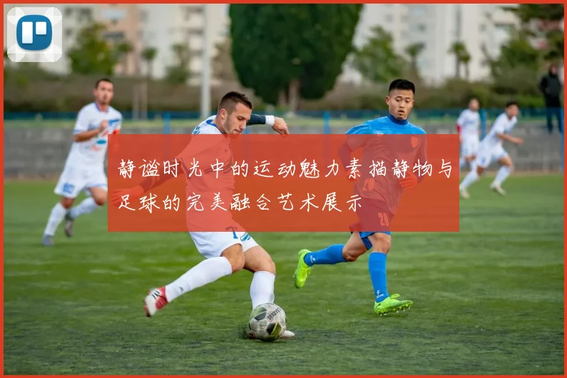 静谧时光中的运动魅力素描静物与足球的完美融合艺术展示